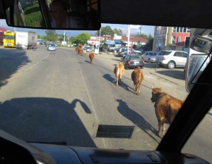 Batumi ielas
