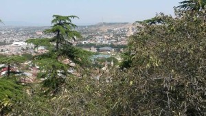 Tbilisi