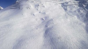 Freeride