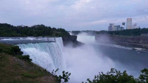 Niagara ASV