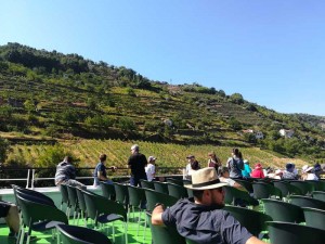 Douro vina lauki