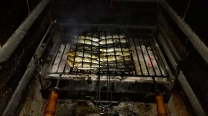 Grilletas zivis