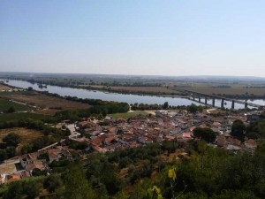 Portugales vidiene