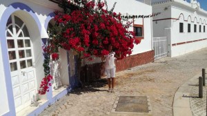 Silves