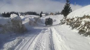 dragobrat