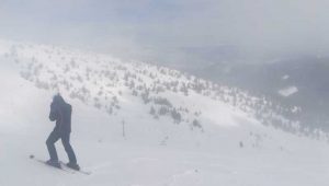 dragobrat